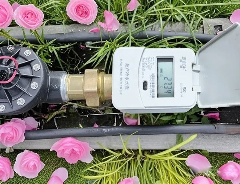 杭州“頂流”驚艷全國，山科如何守護城市“空中花廊”